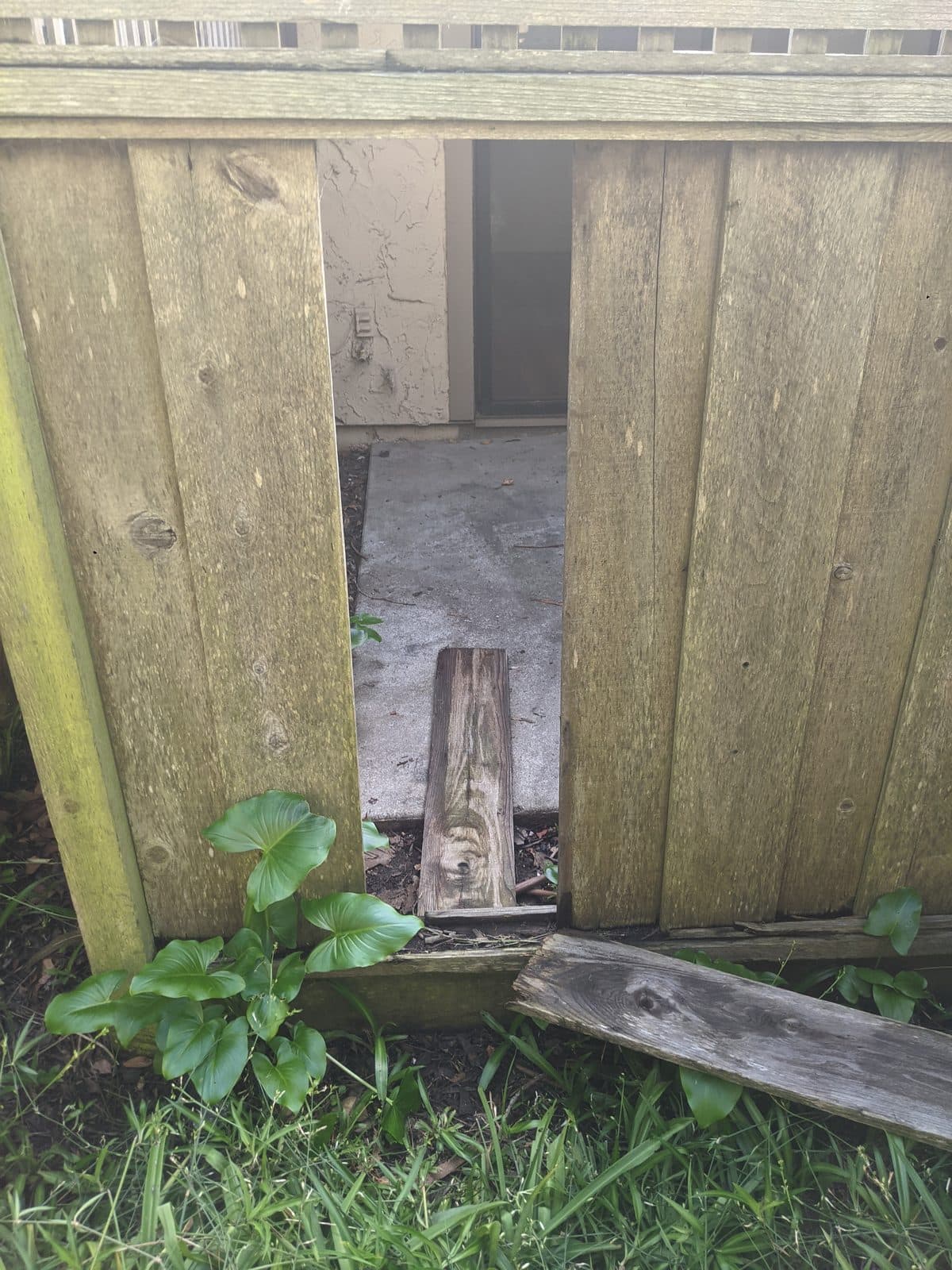 Fence Repair